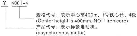 西安泰富西玛Y系列(H355-1000)高压YE2-132M1-6三相异步电机型号说明