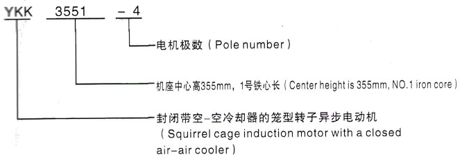 YKK系列(H355-1000)高压YE2-132M1-6三相异步电机西安泰富西玛电机型号说明