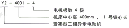 YR系列(H355-1000)高压YE2-132M1-6三相异步电机西安西玛电机型号说明